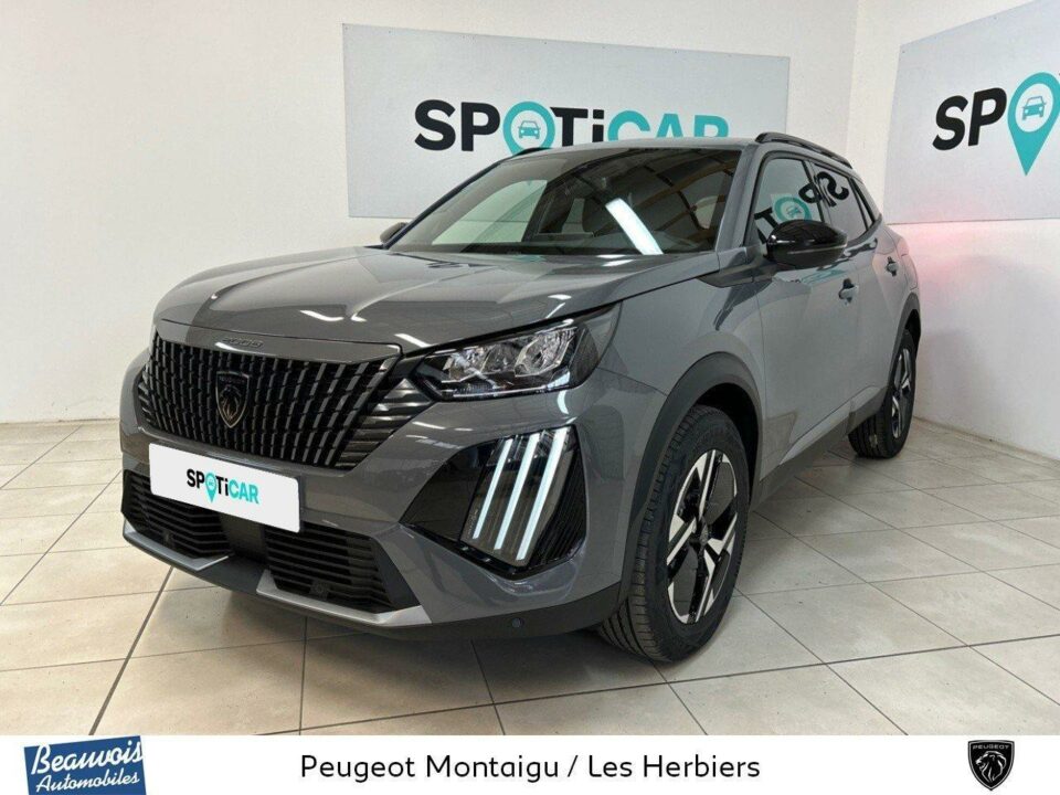 PEUGEOT2008VD008211194.jpg