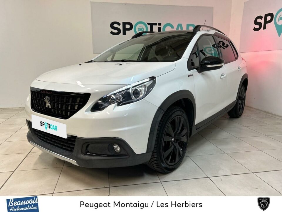 PEUGEOT2008VO0214393163.jpg