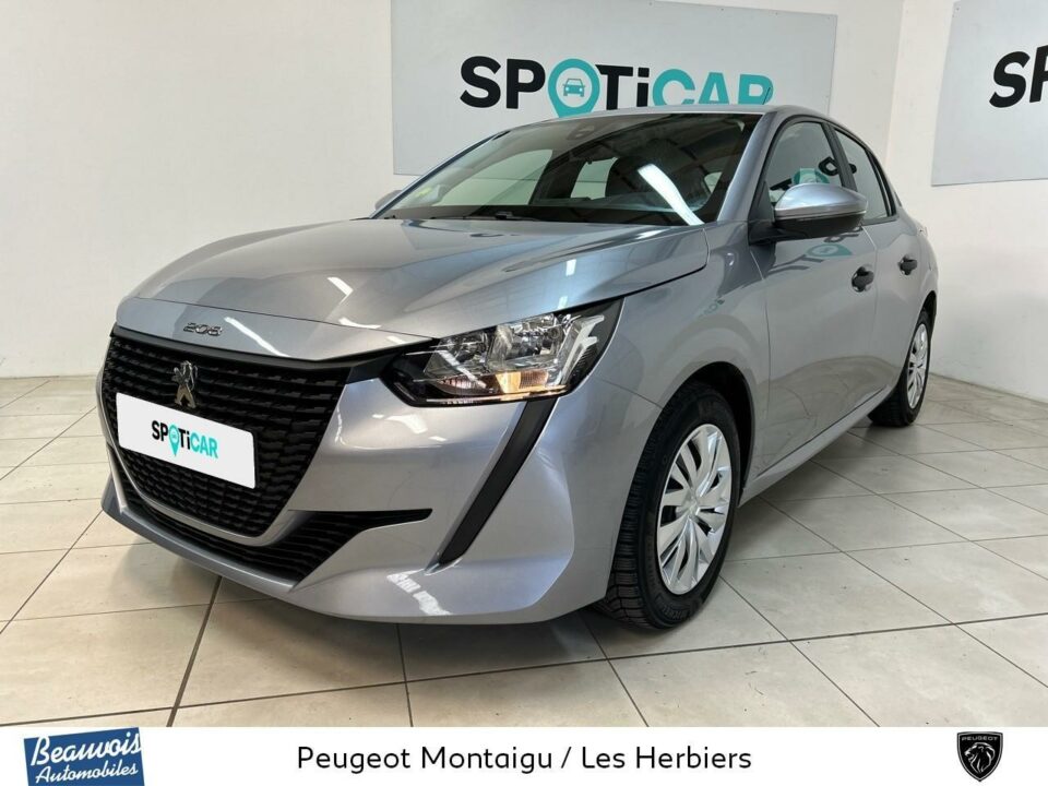 PEUGEOT208 AFFAIREVO0213793113.jpg