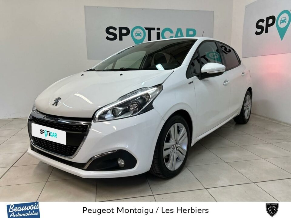 PEUGEOT208VO0216034048.jpg