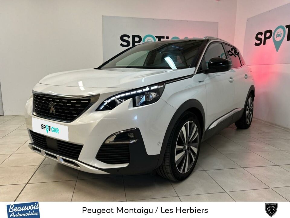 PEUGEOT3008 HYBRID4VO0215793908.jpg