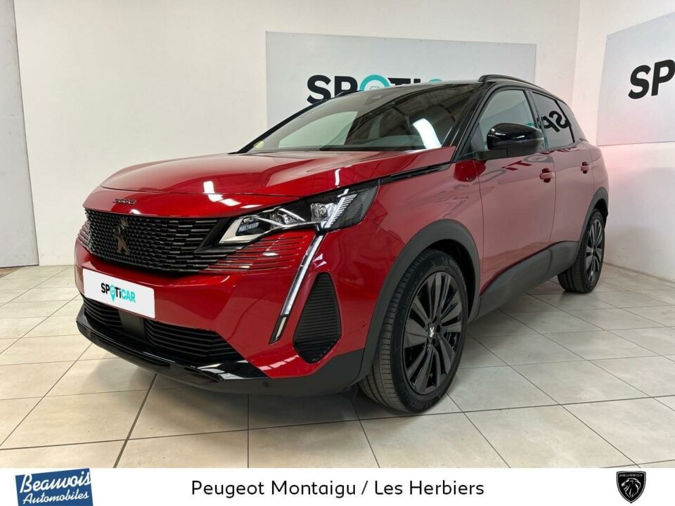 PEUGEOT3008VO0213543622.jpg