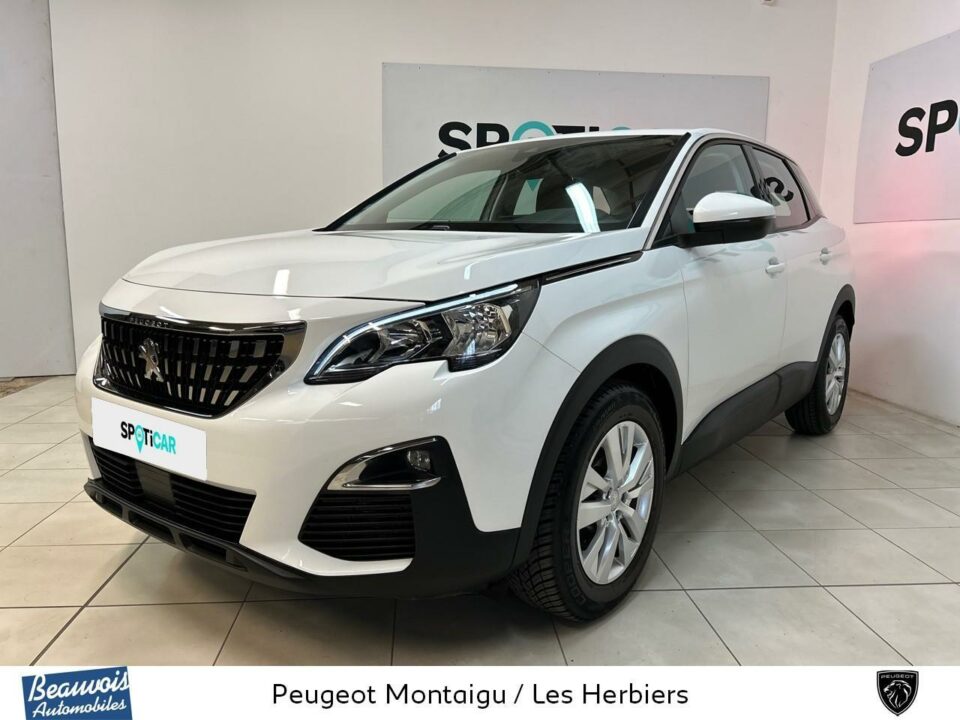 PEUGEOT3008VO0213613624.jpg