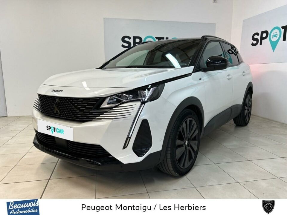 PEUGEOT3008VO0213903137.jpg