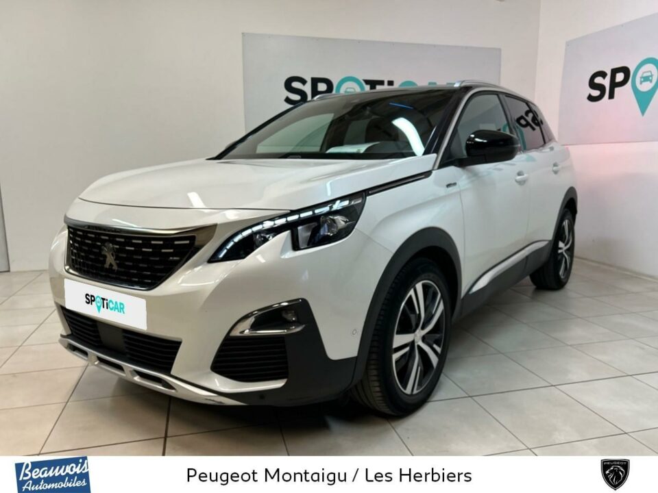 PEUGEOT3008VO0213922589.jpg