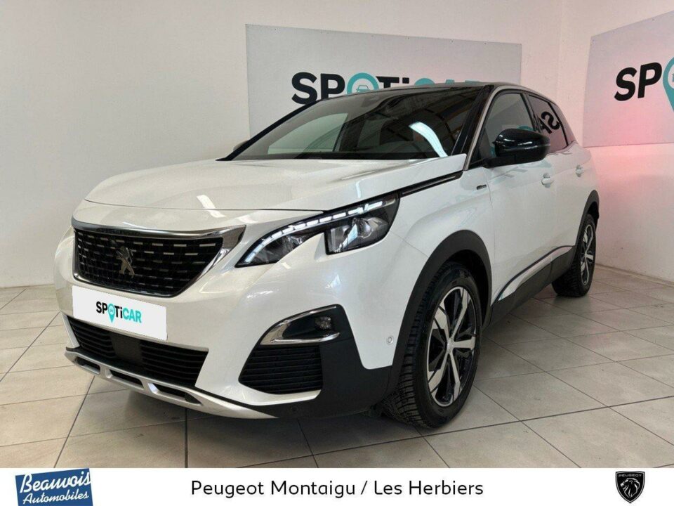 PEUGEOT3008VO0215153409.jpg