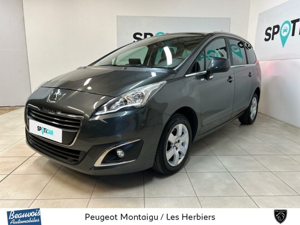 PEUGEOT5008VO0214113204.jpg