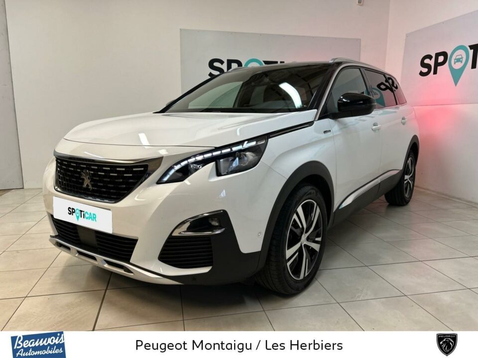 PEUGEOT5008VO0215123419.jpg